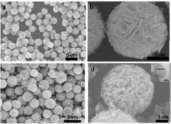 editor1525951812241643.jpg 捕獲2.jpg