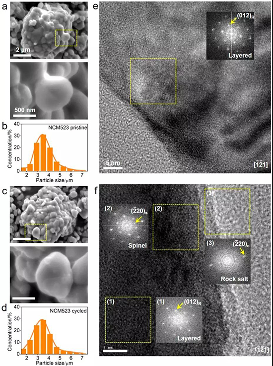 editor1531312028735777.jpg 1.jpg