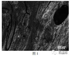 editor1532186734897149.png 1.png