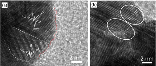 editor1533829168128067.png 42.png