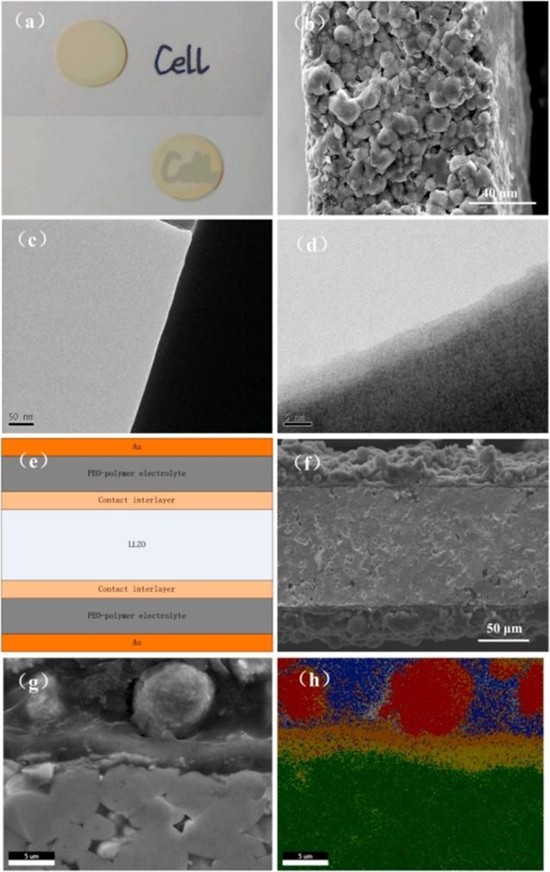 editor1548220087625491.jpg 4.jpg