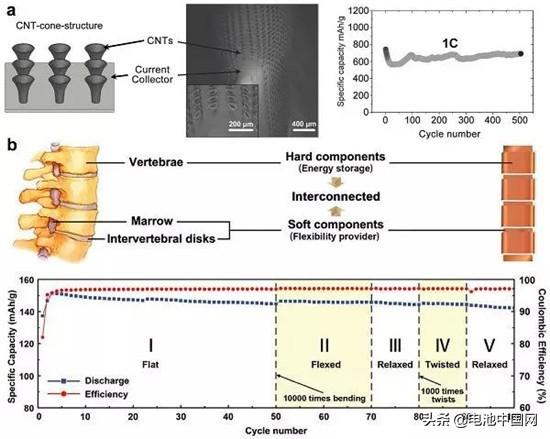 editor1551669493424757.jpg 04.jpg