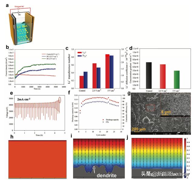 editor1552281545642664.jpg 03.jpg