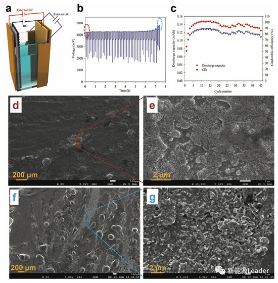 editor1552380992241663.jpg 34.jpg