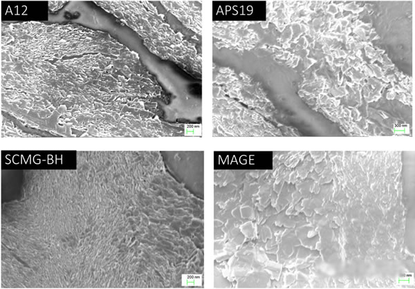 editor1559702767579376.jpg 201904161432_21501700.jpg